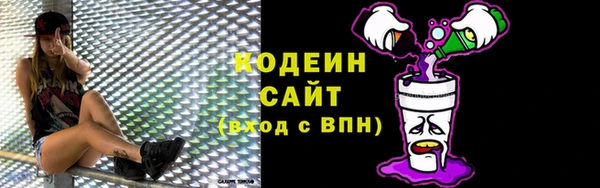 гидра Арсеньев