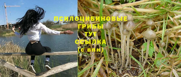 гидра Арсеньев