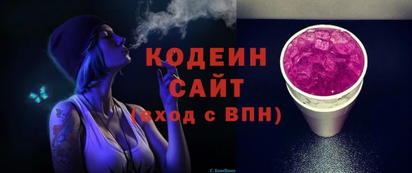 гидра Арсеньев