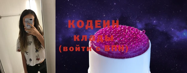 гидра Арсеньев