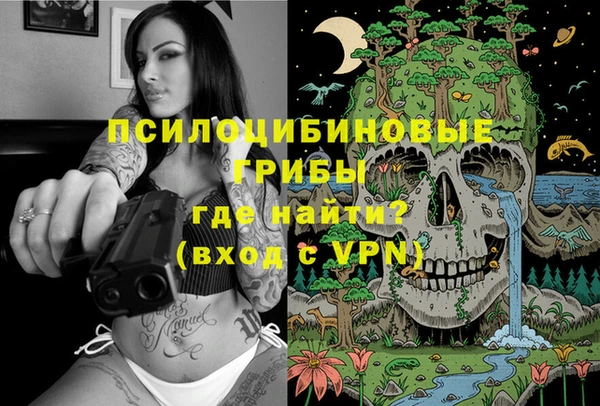 гашик Армянск