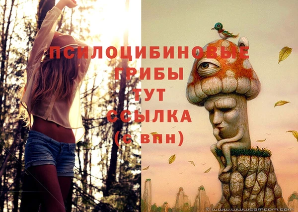 a pvp Нязепетровск