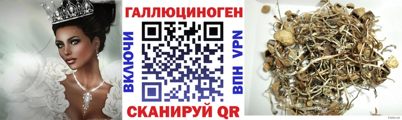 как найти наркотики  Соль-Илецк  Галлюциногенные грибы мицелий 